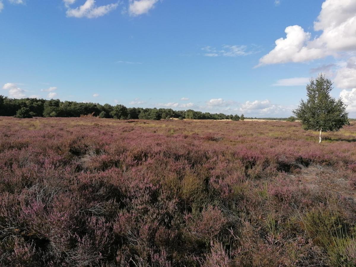 Vakantiehuis De Schaapskooi Друнен Екстериор снимка