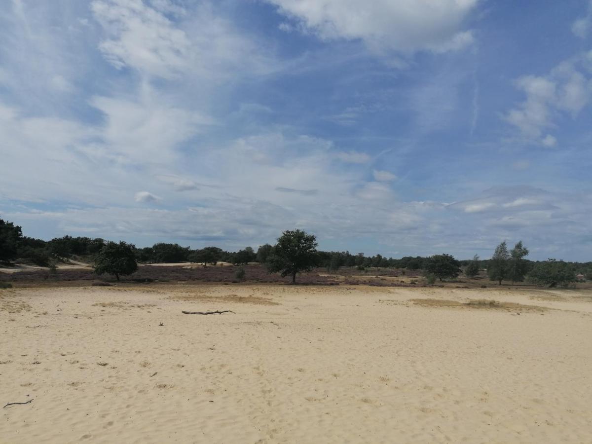 Vakantiehuis De Schaapskooi Друнен Екстериор снимка