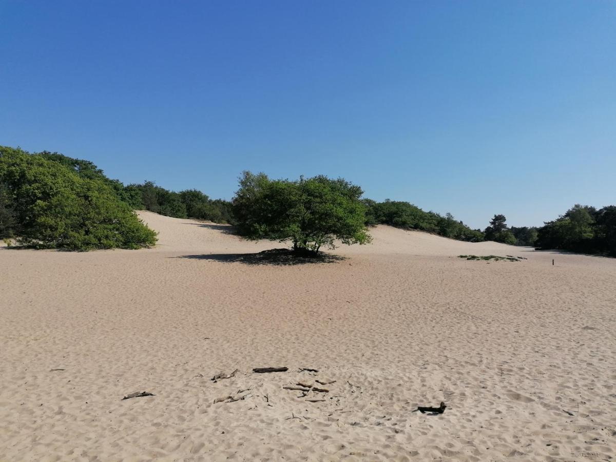 Vakantiehuis De Schaapskooi Друнен Екстериор снимка